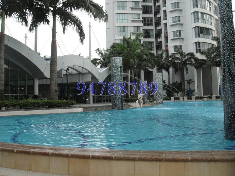 The Madeira thumbnail photo